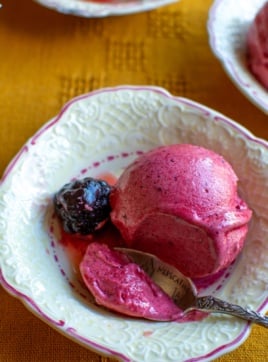a dish of berry sorbet with a spoonful taken out of it