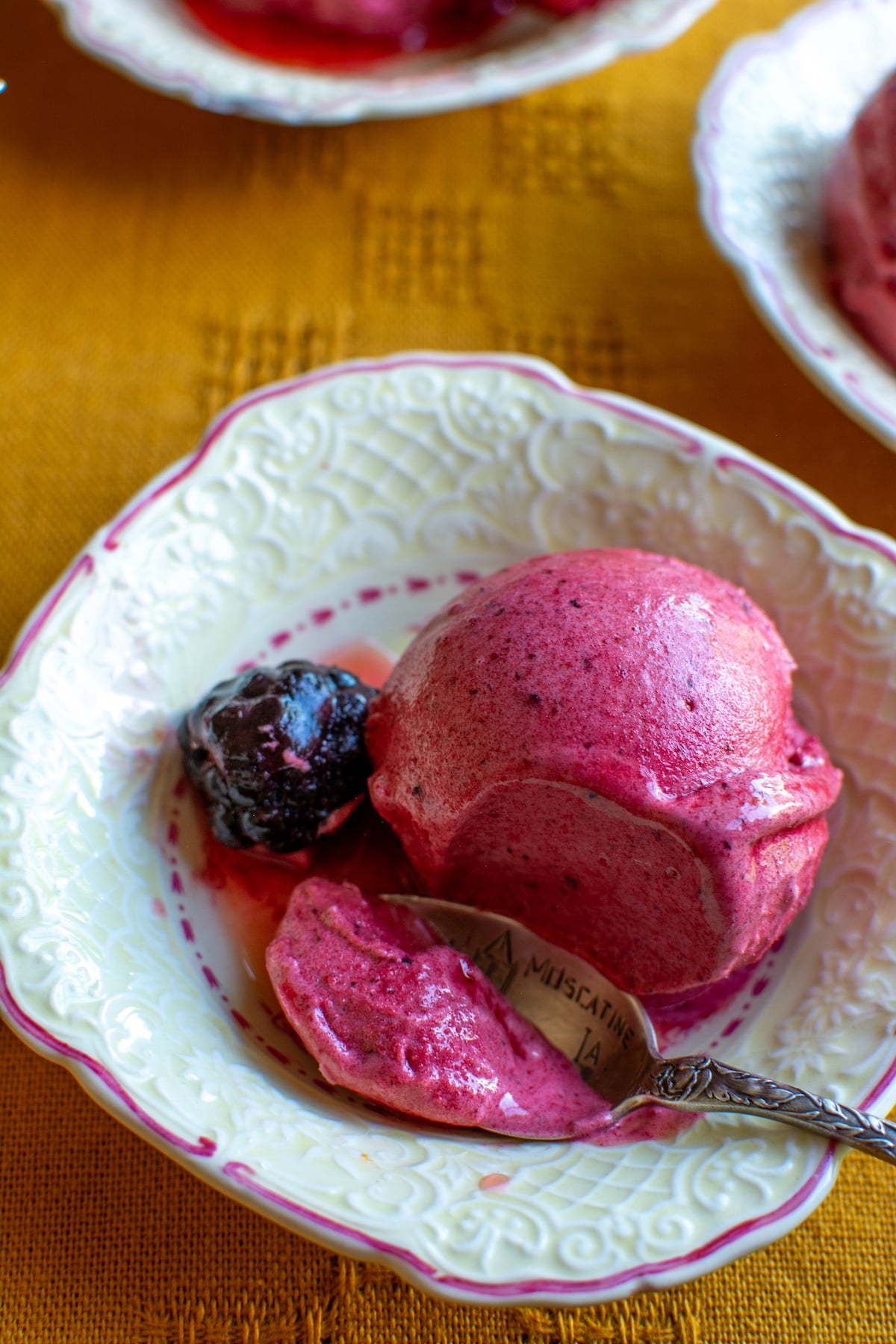 a dish of berry sorbet with a spoonful taken out of it