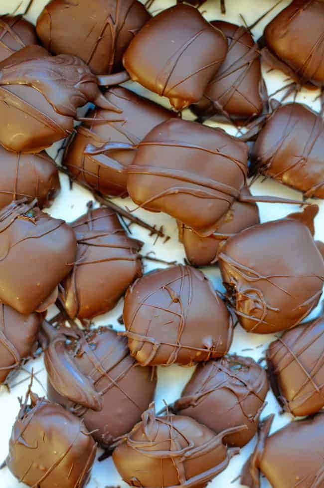 Delicious, homemade apple cider-rum caramels dipped in dark chocolate make elegant edible gifts or party nibbles. Add them to your Christmas party menu!