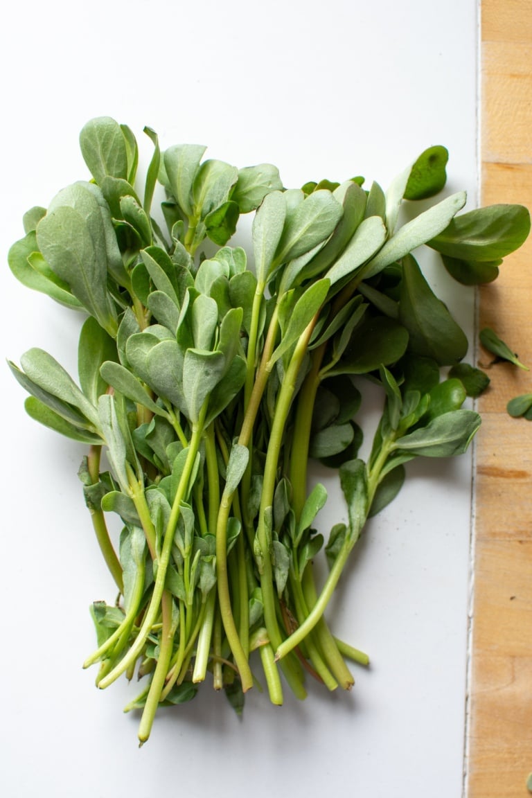 Verdolagas with Tomatillo (Mexican Purslane Recipe) - ¡HOLA! JALAPEÑO