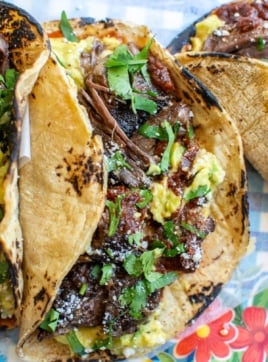 beef barbacoa taco topped with cilantro