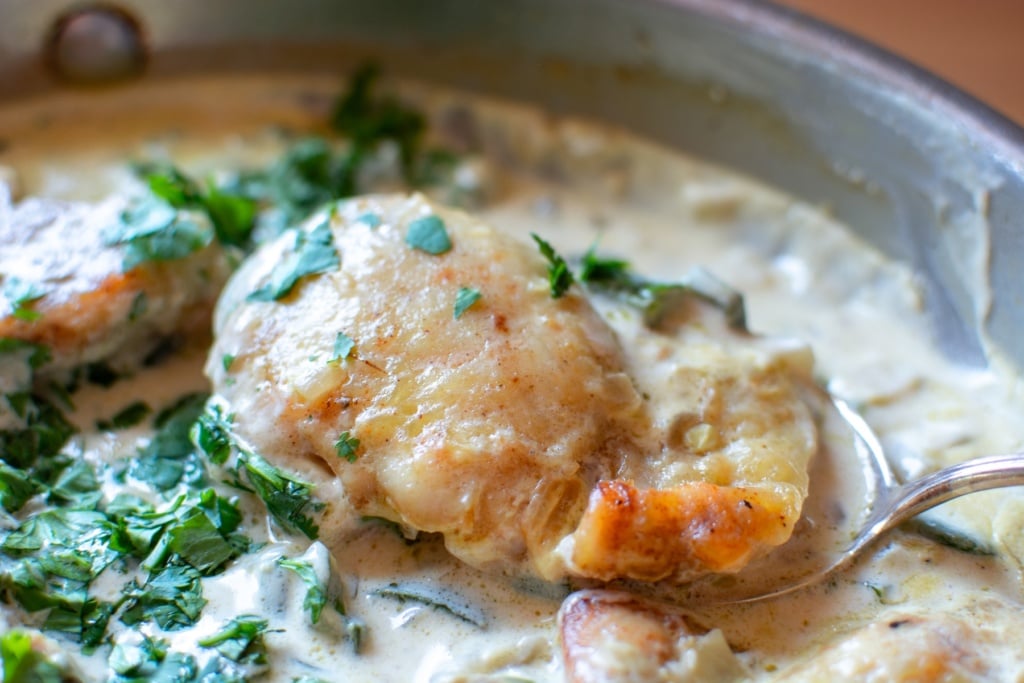 close up photo of mexican con crema garnished with cilantro