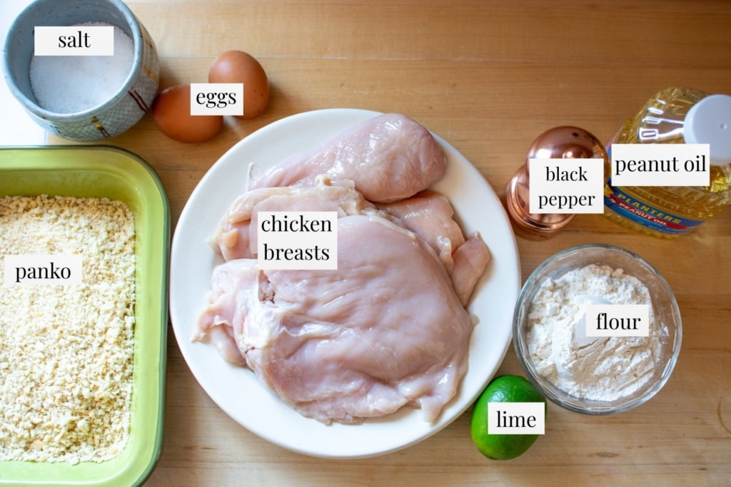 all the ingredients needed to make chicken empanizado