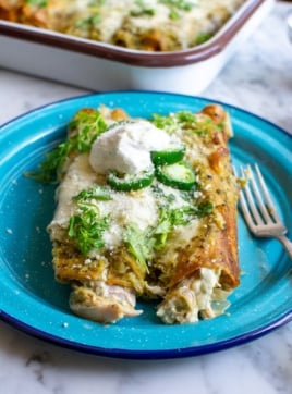 enchiladas on a blue plate with a fork